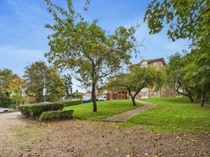 Communal Garden- click for photo gallery